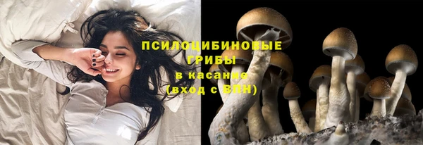прущий лед Белокуриха