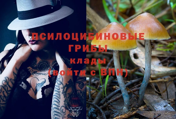 бутират Тавда