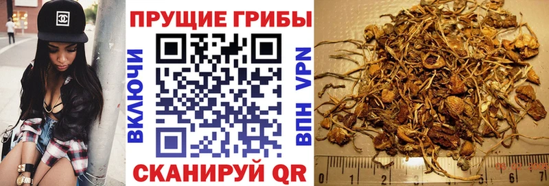 Галлюциногенные грибы MAGIC MUSHROOMS  наркошоп  Кинель 
